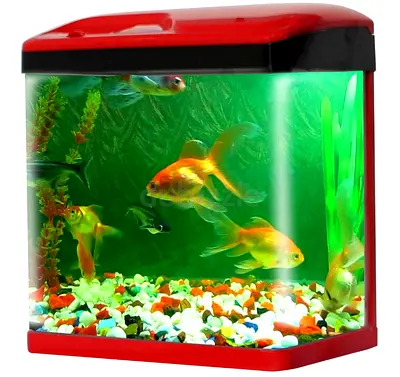 fish tank