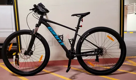 Giant Mountain Bike aluminum frame