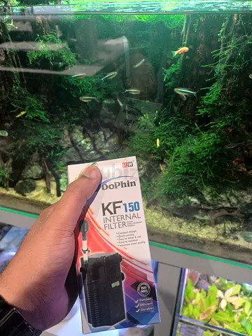 Dophin internal filter