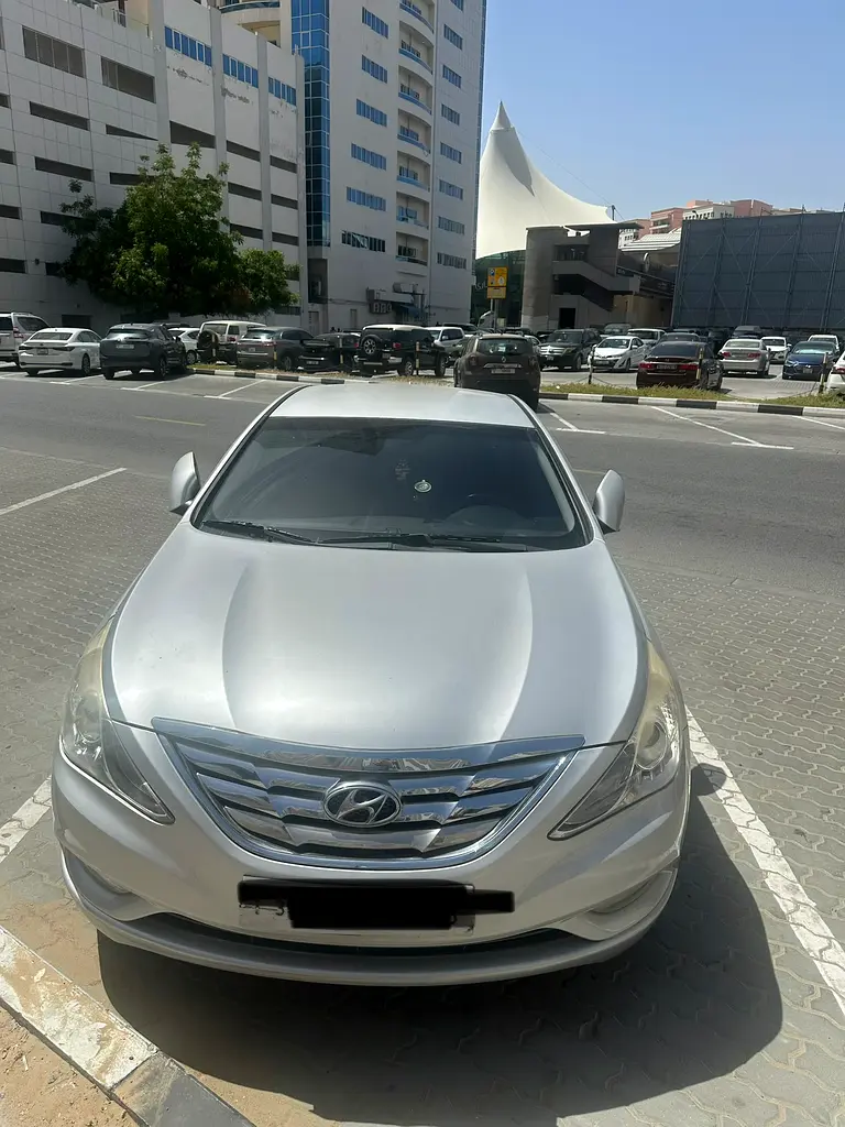 Hyundai Sonata 2010 — photo 1 of 5