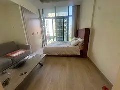 Perfect Investment | Fully Furnished | High ROI