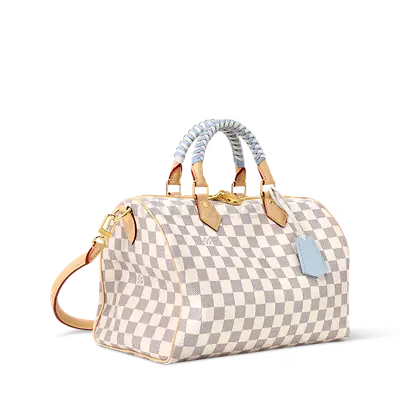 Louis Vuitton Speedy 30 Soft handbag