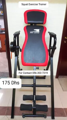 SkyLand Inversion/Squat Exercise Trainer - Good Condition