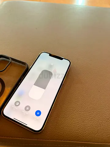 iPhone 12 Pro Max 512