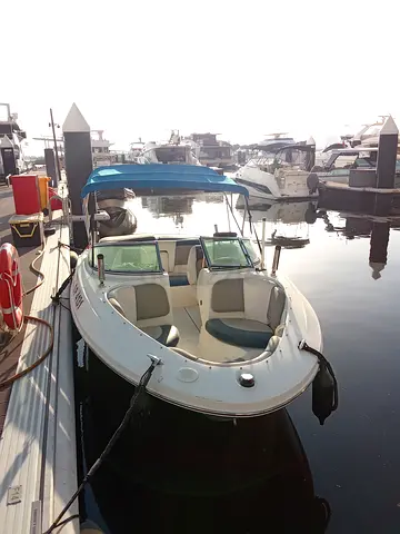 Sea Ray 195 Sport-  2011