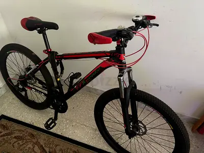 Beautiful high quality aluminum  bike