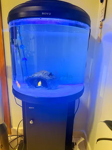 Fish tank with Fish