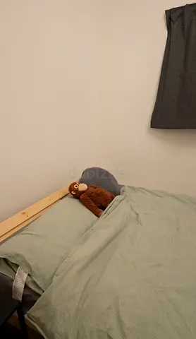 Free super single size bed ( good condition )