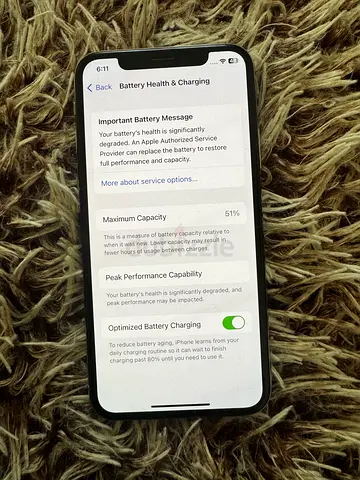 Iphone X with charger