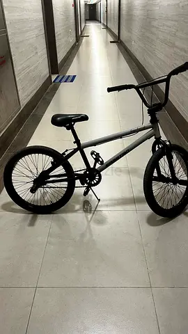 Spartan 20” Exploit Freestyle BMX Bike (Matte gray)
