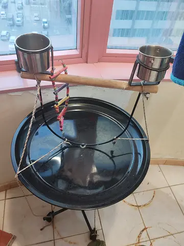 Bird Stand with Feeding Cups and Ladder