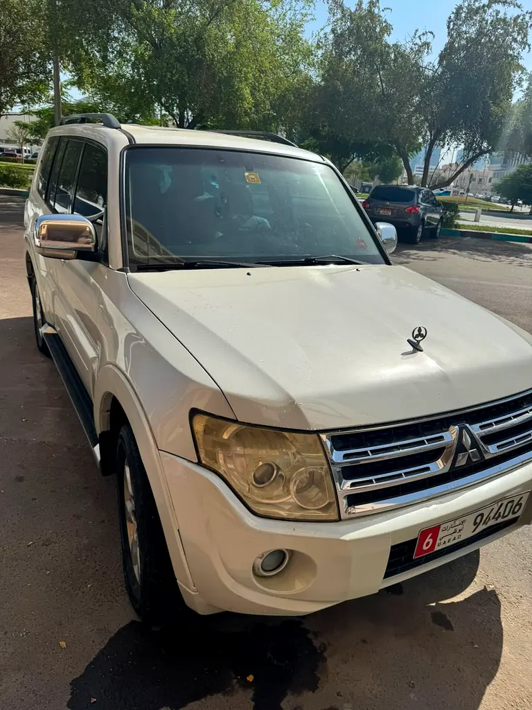 Mitsubishi Pajero 2009 — photo 1 of 10