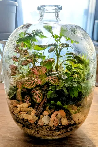 Orb/egg  shaped terrarium.