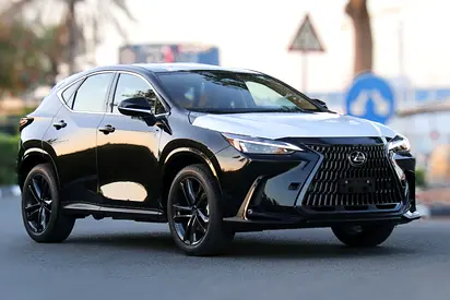 NX350 STD HYBRID 2025 - With Sunroof