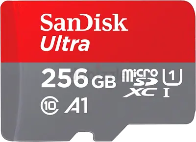 SD Cards 256 GB (Bulk) AED-20