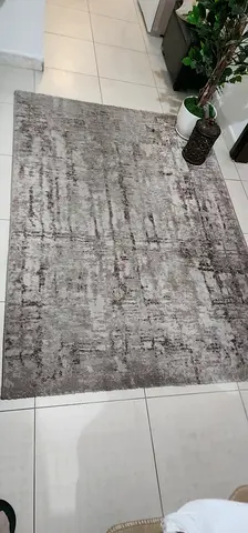 Light Grey Modern Area Rug - Good Condition