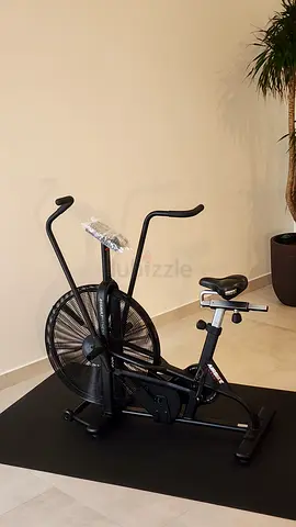 🚴‍♂️ Assault AirBike Classic