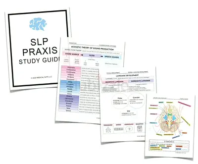 Speech-Language Pathology (SLP) Praxis Study Guide