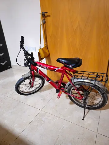 Bicycle for sale