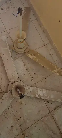 Ceiling fan