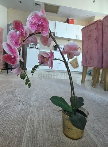 Serious buyers only - Artificial Orchid Flower Plant