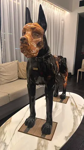 Designer Doberman.