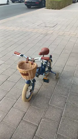 ADAM Kids Blue Dutch-Style Bicycle with Training Wheels and Front Basket