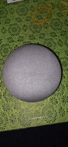 Google Home Mini Smart Speaker