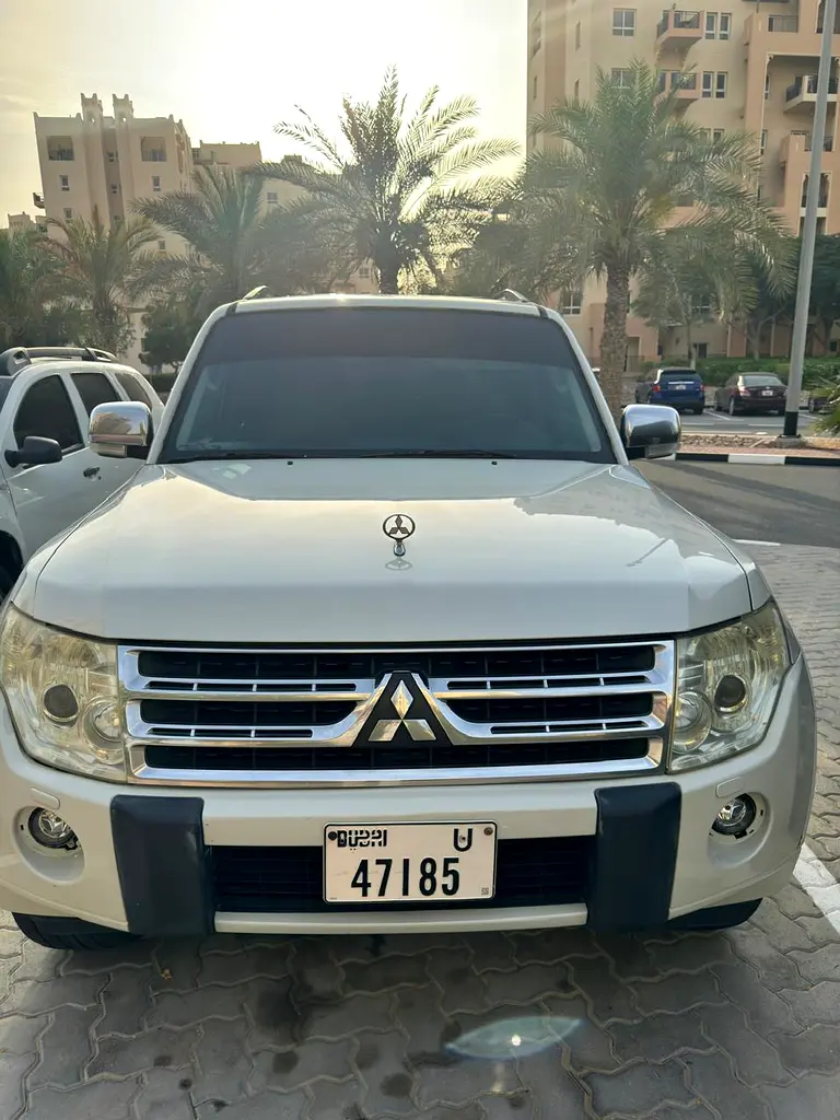 Mitsubishi Pajero 2010 — photo 1 of 6