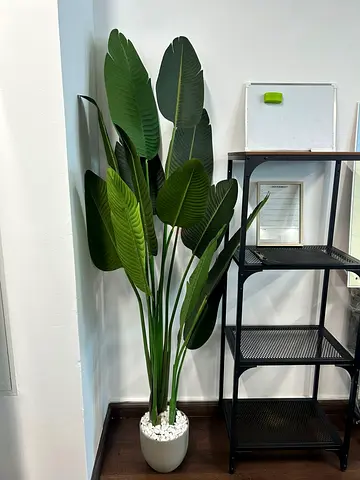 Tall artificial bird plant in white pot - 3pcs