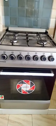 Electric and gas oven