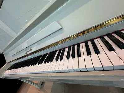 Ritmuller Up right Piano UP120R1