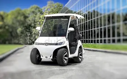 D3 Premium Evolution 4 seater golf cart buggy Great condition with new batteries