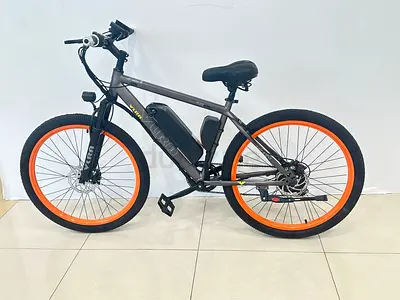 36v electric bike