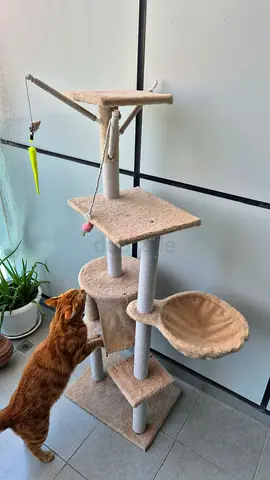 Multi-level beige cat tree with scratching posts and perches