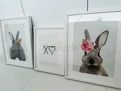 Set of 3 Framed Bunny Prints in White Frames
