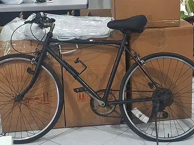 Used single-speed/converted city bike - needs minor repairs