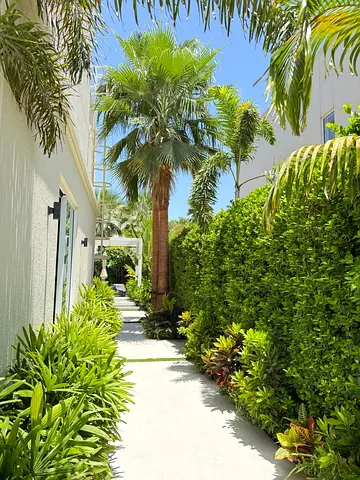 Garden maintenance  specialists works and plantations works