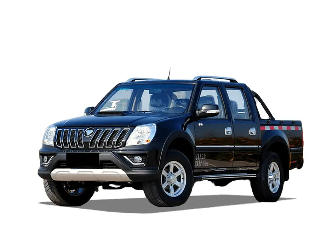 Foton SUP 2024 — photo 1 of 1