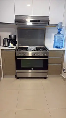 Electrolux Stainless Steel 5-Burner Gas Range with Oven