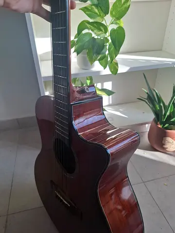 Guitar acoustic Steiner