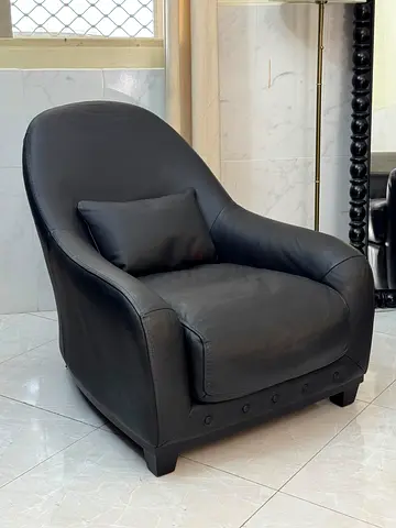 Natuzzi Edition genuine Leather Arm Chair