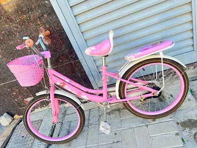 Kids pink 20-inch girls bicycle with basket