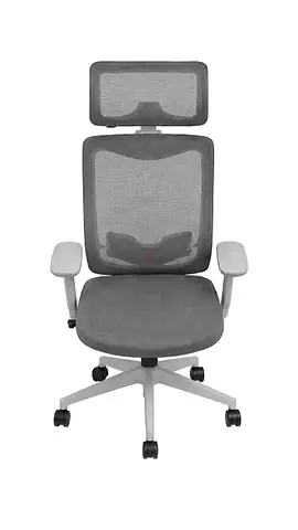 Ergonomic Office Chair with Headrest — Good Condition