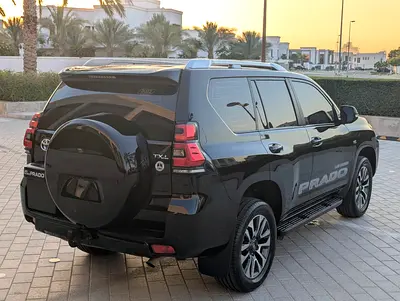 2022 Toyota PRADO 缩略图 15