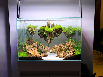 Brand New Avatar inspired Aquarium