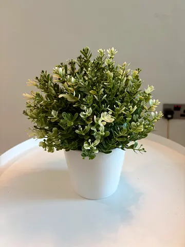 Small artificial potted plant in white pot - decorative tabletop greenery Ikea