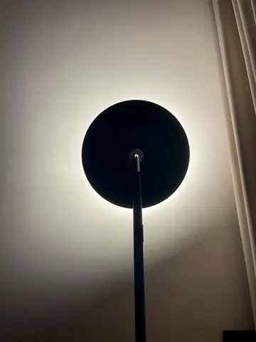 Floor Lamp (All Colors) - 185cm