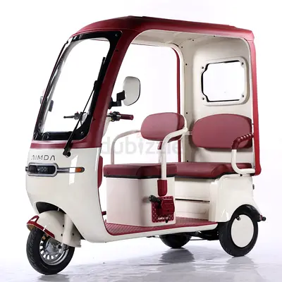 Megawheels 60 v Urban roof Back enclosed  tricycle For 3 passengers