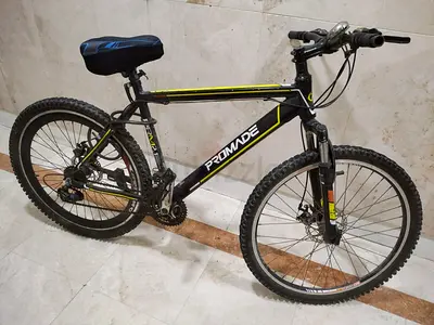 Bicycle